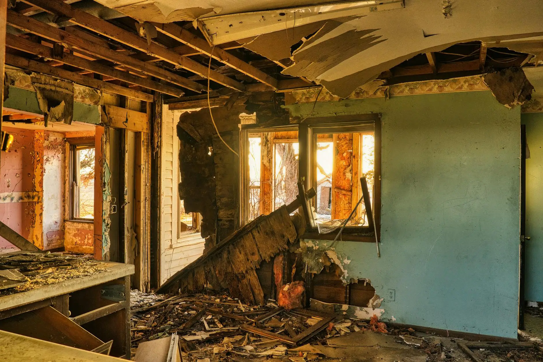Auburn's Trusted Mold Remediation Specialists — Auburn, CA