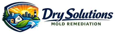 Dry Solutions Mold Remediation